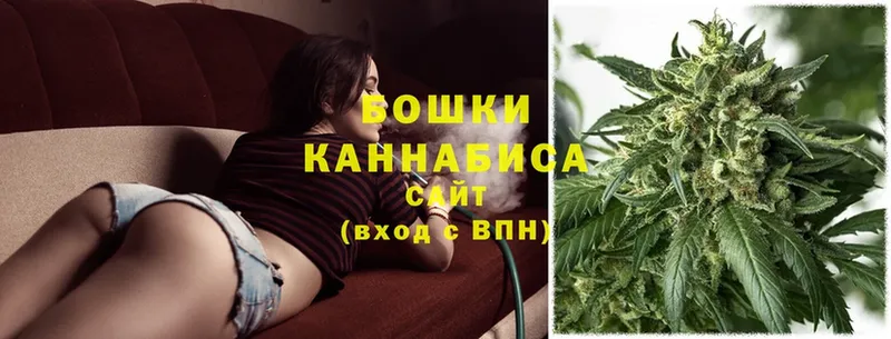 Бошки Шишки White Widow  купить наркотик  ОМГ ОМГ маркетплейс  Печора 